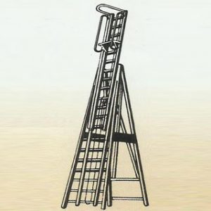 Ladder-7