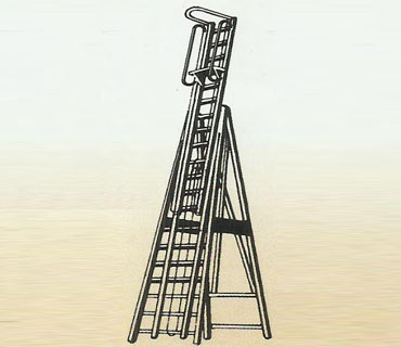 Ladder-7