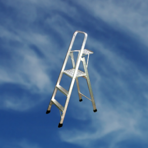 house-hold-ladder